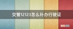 交管12123怎么补办行驶证?