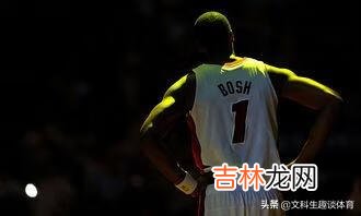 波什为什么会黯然退役(波什为什么进入名人堂)