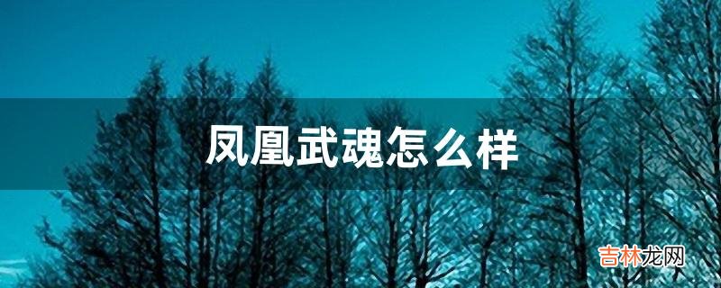 凤凰武魂怎么样（十首凤凰武魂的魂技)