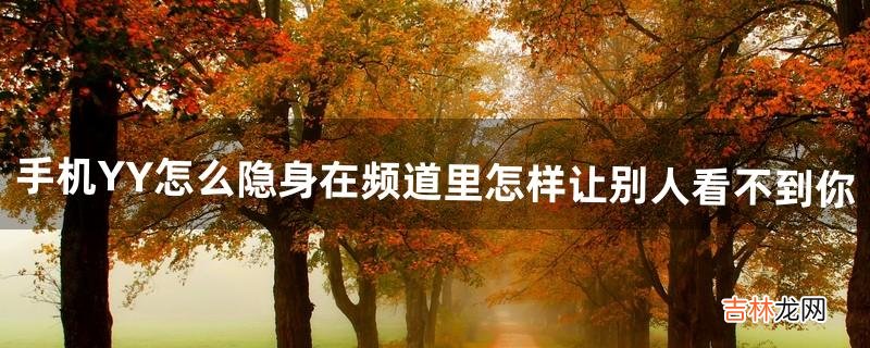 手机YY怎么隐身?在频道里怎样让别人看不到你