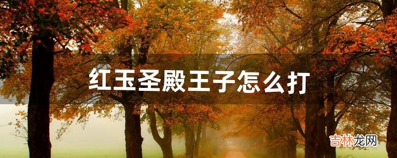 红玉圣殿王子怎么打（打红玉圣殿boss怎么看血量)