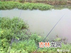长满底层水草的河怎么钓鱼(野河水草太多怎么钓鱼)