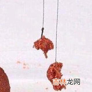 长满底层水草的河怎么钓鱼(野河水草太多怎么钓鱼)