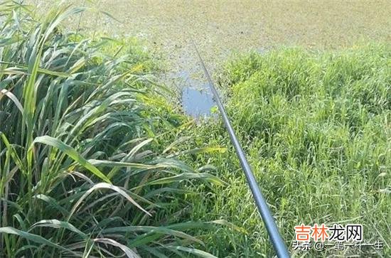 长满底层水草的河怎么钓鱼(野河水草太多怎么钓鱼)