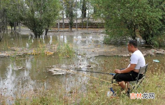 长满底层水草的河怎么钓鱼(野河水草太多怎么钓鱼)