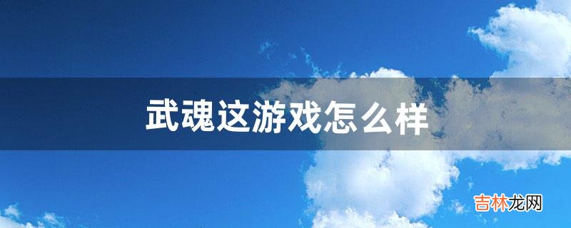 武魂这游戏怎么样（什么游戏是有武魂的)