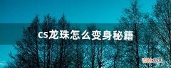 cs龙珠怎么变身秘籍（cs七龙珠怎么让敌人不动)