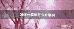 DNF分解机怎么升级啊（dnf分解师等级对照表)