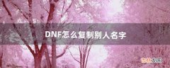 DNF怎么复制别人名字（dnf怎么粘贴角色名字)