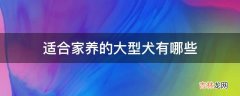 适合家养的大型犬有哪些?