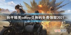 和平精英cdkey兑换码免费领取2021