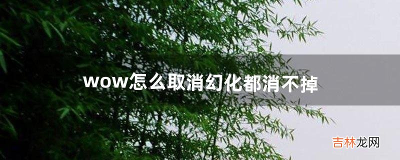 wow怎么取消幻化都消不掉（wow智能坐骑怎么关闭)