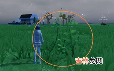 创造与魔法魔法怪味豆制作方法