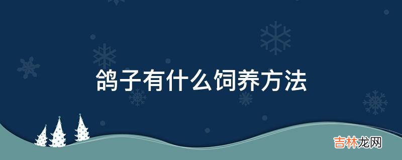 鸽子有什么饲养方法?