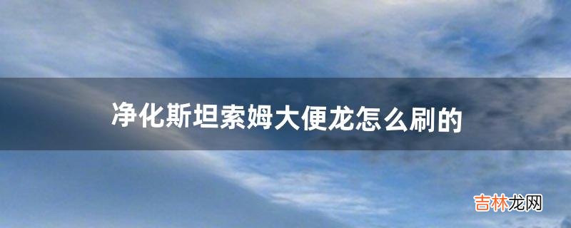 净化斯坦索姆大便龙怎么刷的（净化斯坦索姆坐骑攻略)