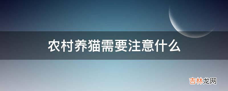 农村养猫需要注意什么?