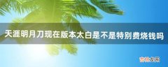 天涯明月刀现在版本太白是不是特别费。烧钱吗