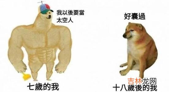 闭嘴cheems我不想再快乐了梗表情包分享