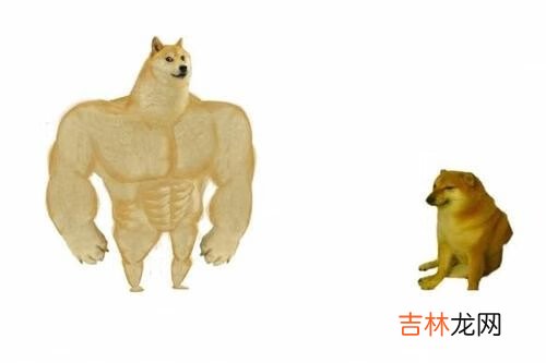 闭嘴cheems我不想再快乐了梗表情包分享