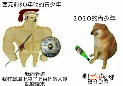 闭嘴cheems我不想再快乐了梗表情包分享