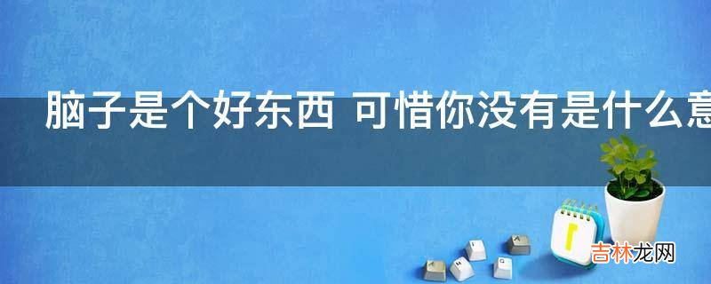 脑子是个好东西 可惜你没有是什么意思?