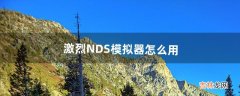 激烈NDS模拟器怎么用（nds能玩什么模拟器)