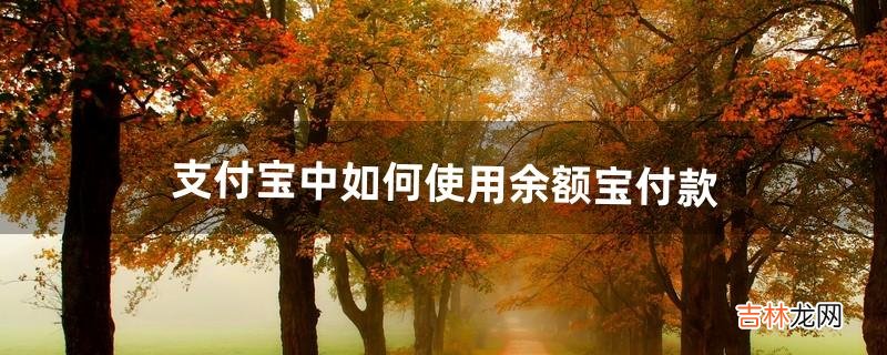 支付宝中如何使用余额宝付款（支付宝余额截图)