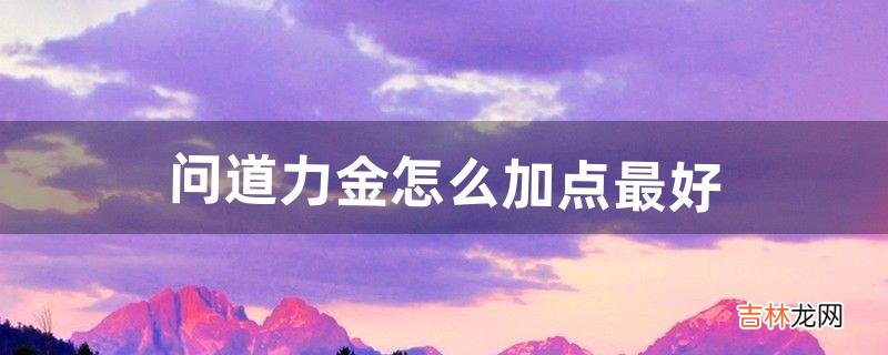 问道力金怎么加点最好(问道电精怎么练厉害)