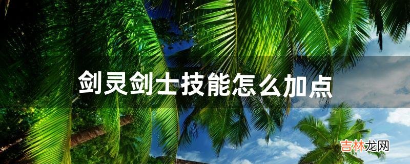 剑灵剑士技能怎么加点（剑灵最新剑士加点图)