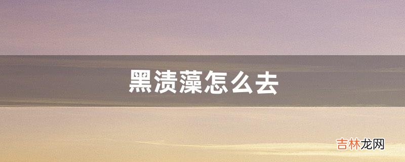 黑渍藻怎么去（炒菜锅内黑渍怎么清除)