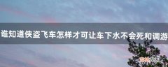 谁知道侠盗飞车怎样才可让车下水不会死和调游