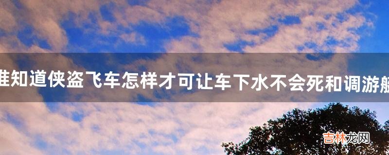 谁知道侠盗飞车怎样才可让车下水不会死和调游艇