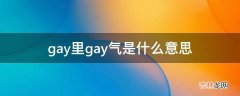 gay里gay气是什么意思?