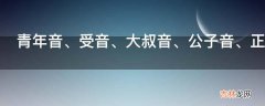 青年音、受音、大叔音、公子音、正太音是什么意思?