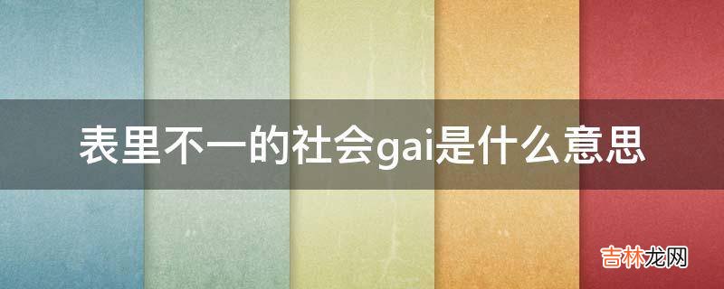 表里不一的社会gai是什么意思?