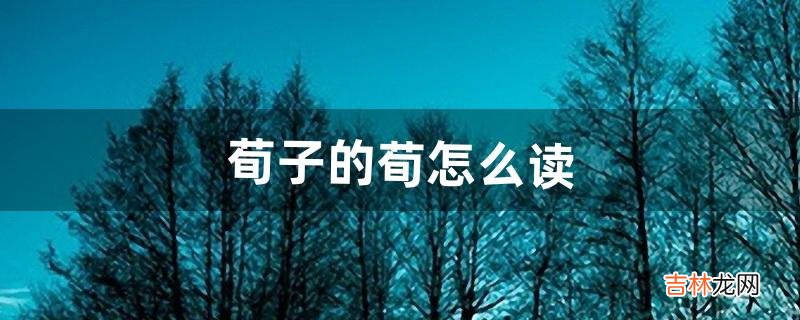 荀子的荀怎么读（荀子字怎么读)