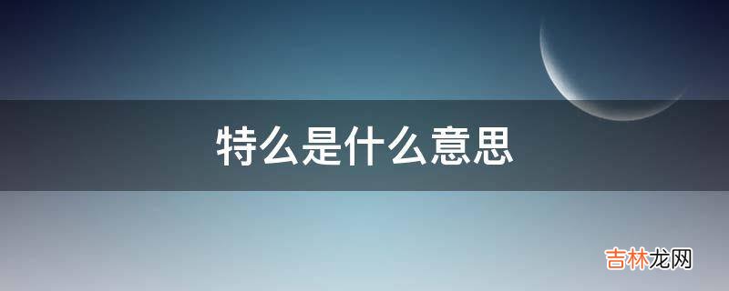 特么是什么意思?