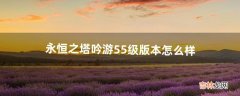 永恒之塔吟游55级版本怎么样（永恒之塔吟游星值不值得玩)