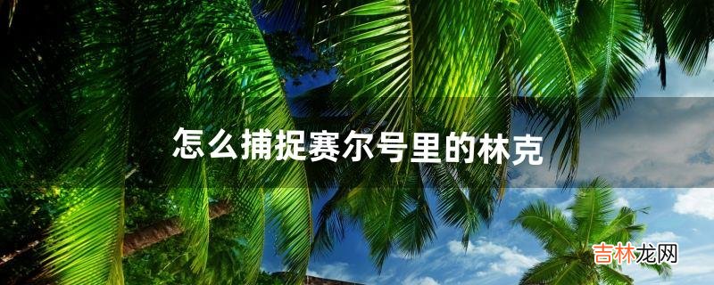 怎么捕捉赛尔号里的林克(赛尔号莫比和林克怎么抓)