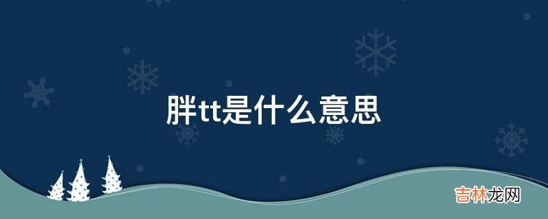 胖tt是什么意思?