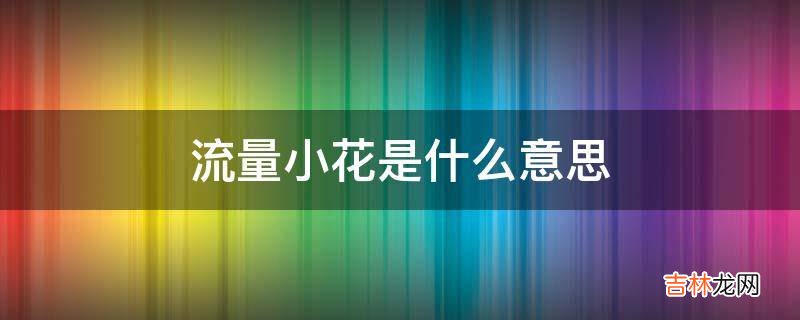 流量小花是什么意思?