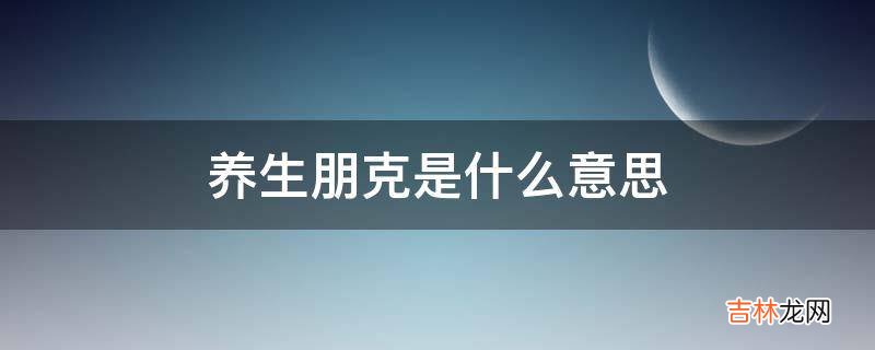 养生朋克是什么意思?