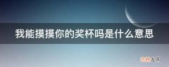 我能摸摸你的奖杯吗是什么意思?