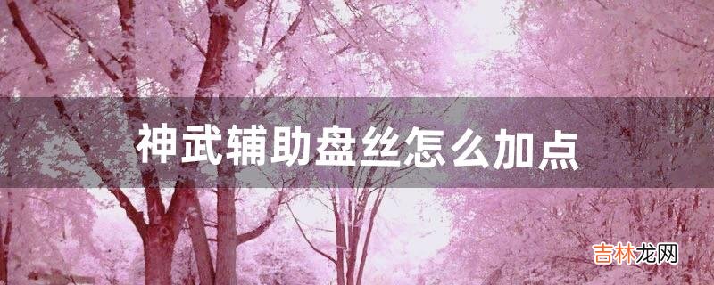 神武辅助盘丝怎么加点，看好是辅助盘丝（神武盘丝后期厉害吗)