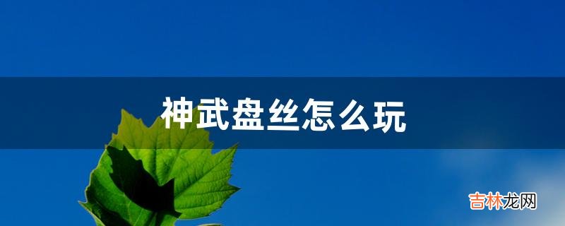 神武盘丝怎么玩(神武后期方寸天魔盘丝哪个好)