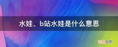 水娃、b站水娃是什么意思?