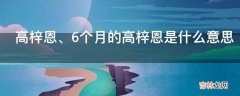 高梓恩、6个月的高梓恩是什么意思?