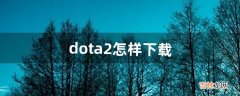 dota2怎样下载（新手下载dota2)