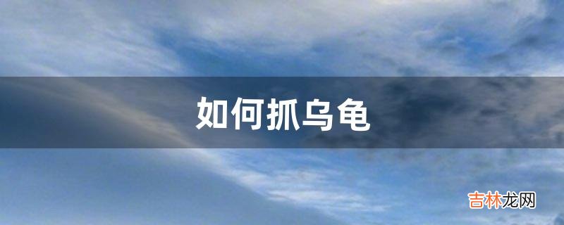 如何抓乌龟（抓乌龟的地方哪里最多)