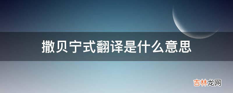 撒贝宁式翻译是什么意思?